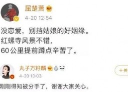 娱乐圈吃瓜爆料两个字,揭秘明星背后的故事
